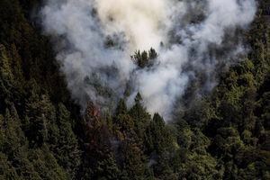 Cerros Orientales 
Incendios