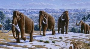 Los investigadores analizaron 300 muestras de ADN de mamut.