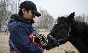 La idea de los expertos en dotar de animales al país para la práctica de deportes equinos.