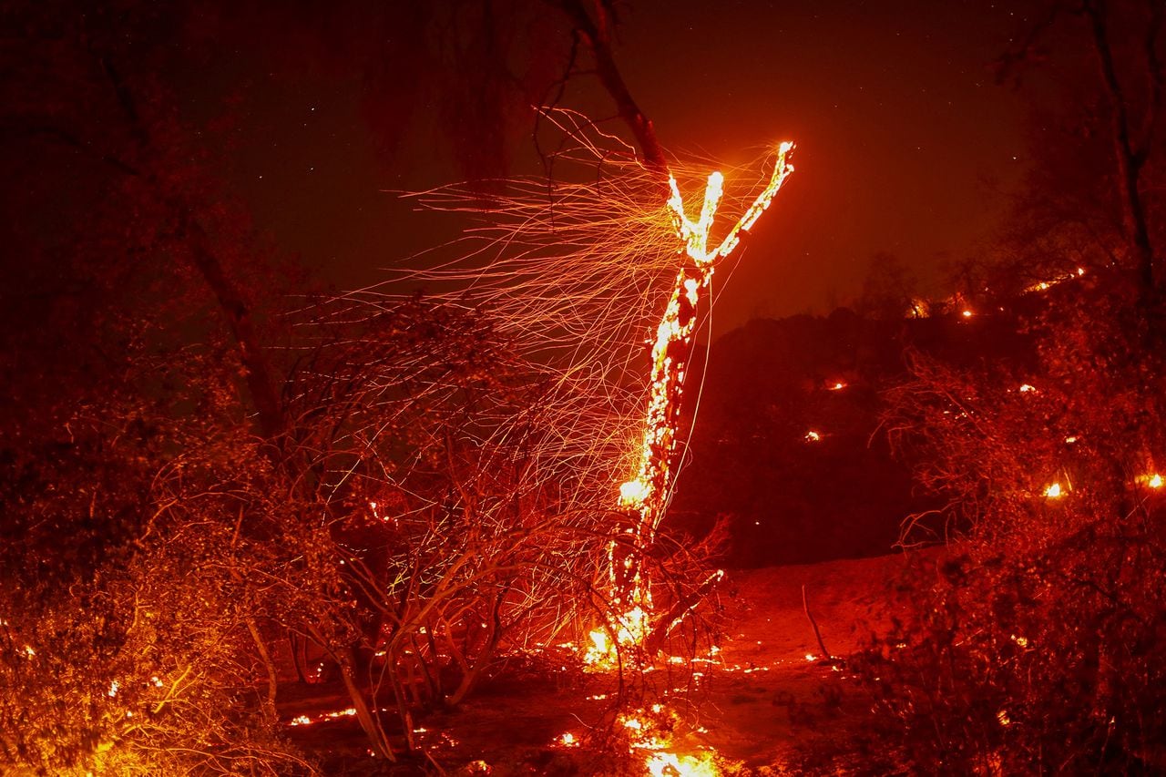 En imágenes : Los bomberos luchan contra el incendio de Wishon en California