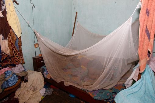 Casi el 80 % de las muertes por malaria en la Región de África se produjeron en niños menores de cinco años.