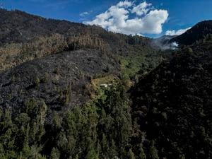 Vegetación devastada por los incendios forestales en Nemocón