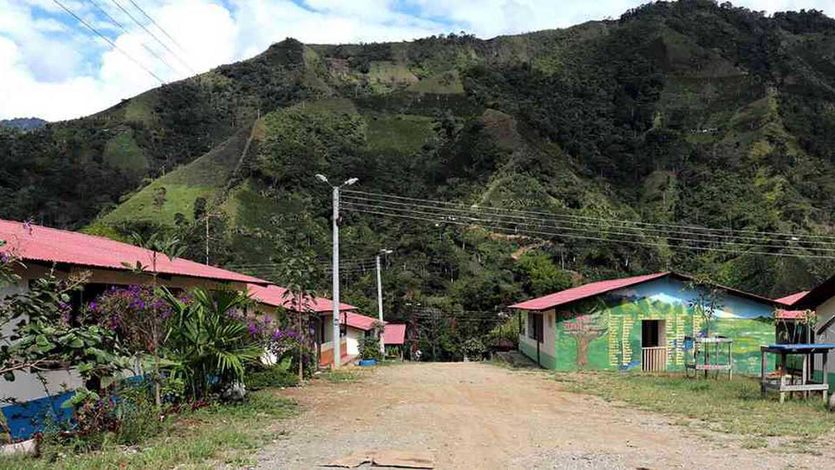 ONU pide a Colombia una estrategia para garantizar la seguridad de excombatientes de las Farc