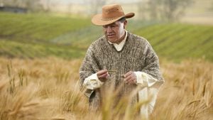 Desde la década de los 90, la cebada empezó a desaparecer del campo colombiano. Hoy, 250 campesinos ya llevan cultivadas 4.000 hectáreas.