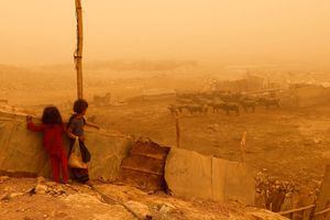 Los niños miran a los búfalos durante una tormenta de arena en el distrito al-Futheliyah del este de Bagdad, Irak, el 23 de mayo de 2022. Foto REUTERS/Ahmed Saad 