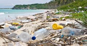 El Programa de las Naciones Unidas para el Medioambiente informó que más de cuatro millones de desechos de plástico fueron recogidos en áreas costeras del Caribe entre 2006 y 2012. Foto: Getty. 