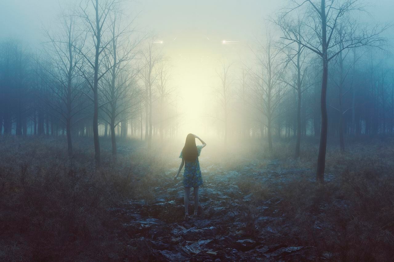 Mujer en el bosque con luces misteriosas por la noche, imagen generada en 3D y de referencia para el escrito