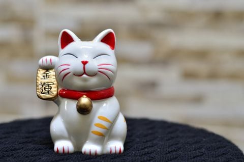 Descubrir el lugar ideal para el gato de la suerte en el Feng Shui se convierte en un desafío emocionante para aquellos que desean mejorar su bienestar y atraer prosperidad a sus vidas.