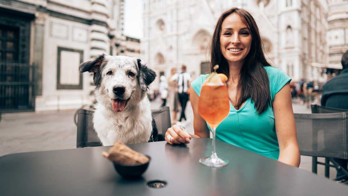 Restaurantes lujosos para perros en el mundo