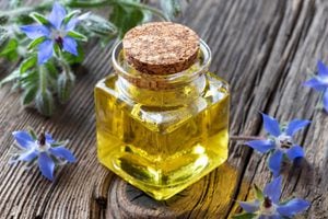 El aceite de borraja ofrece diversos usos en la medicina tradicional