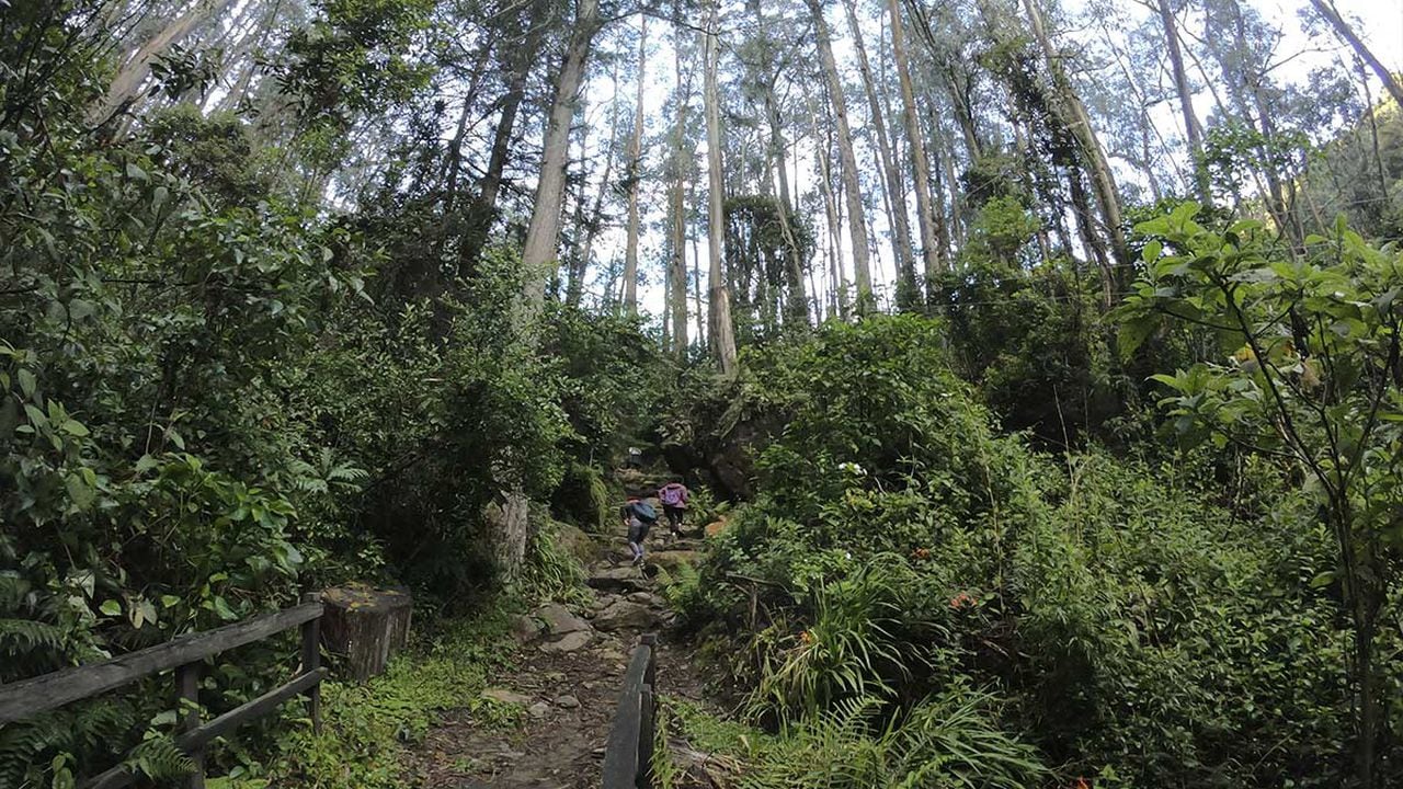 Este sendero está ubicado en la localidad de Chapinero, en Bogotá.