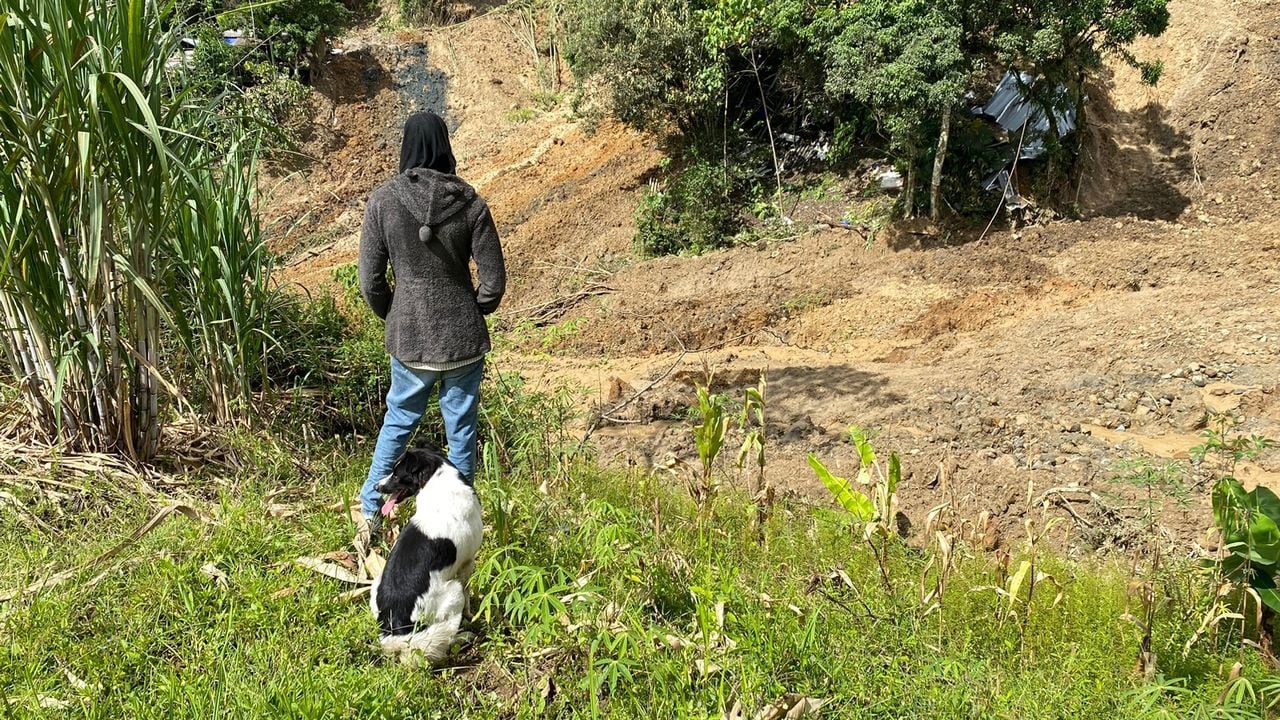 Caleño perdió todo en derrumbe en Rosas, Cauca; solo pudo rescatar a su perro: “por el hago lo que sea”.