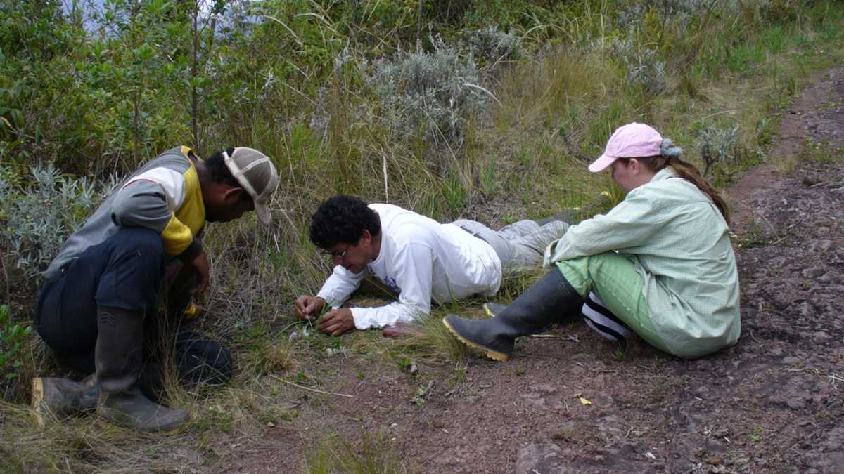 Los biólogos Adriana Reyes y Daniel Rodríguez se han dedicado a estudiar al oso andino.