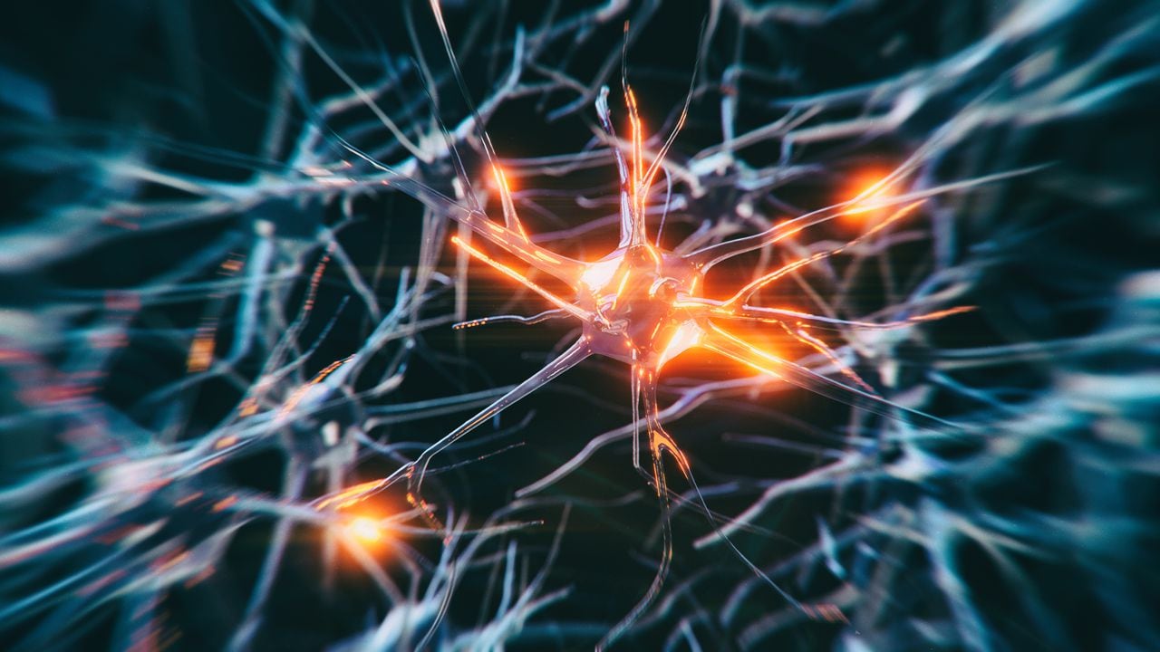 Sistema nervioso central - esclerosis múltiple