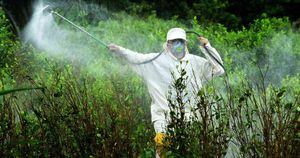 El glifosato es uno de los herbicidas más usados para la agricultura en el mundo. Foto: Mauricio Orjuela/Ministerio de Defensa