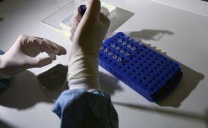 La empresa Vitrology Biotech  con sede en Escocia intentará desarrollar una vacuna contra la gripe H1N1 o "porcina".