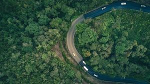 Vista aérea de un camino estrecho rodeado de árboles y naturaleza en un bosque en Colombia.