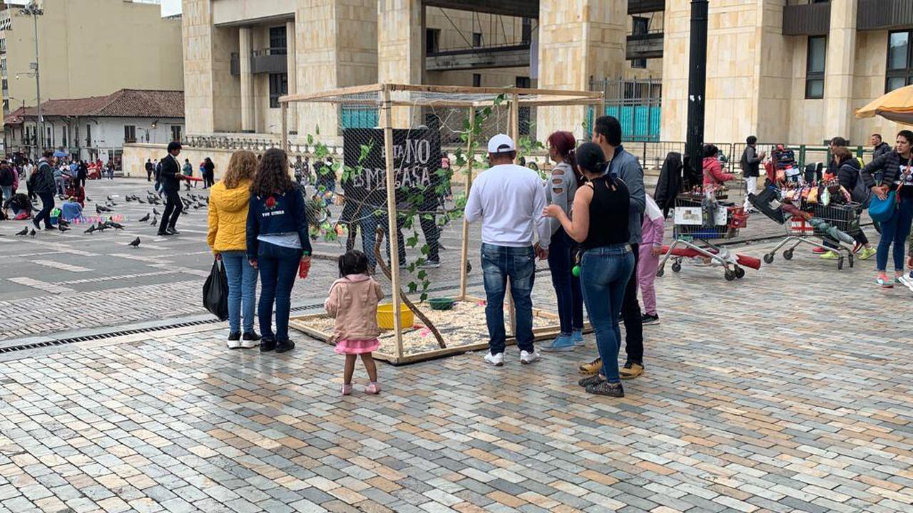 La CAR construyó una jaula gigante que ubicó en lugares públicos de Bogotá para conocer la reacción de las personas.