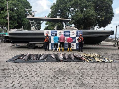 Armada Nacional incautó 738 kilos de pesca ilegal y capturó a tres personas en el pacífico.