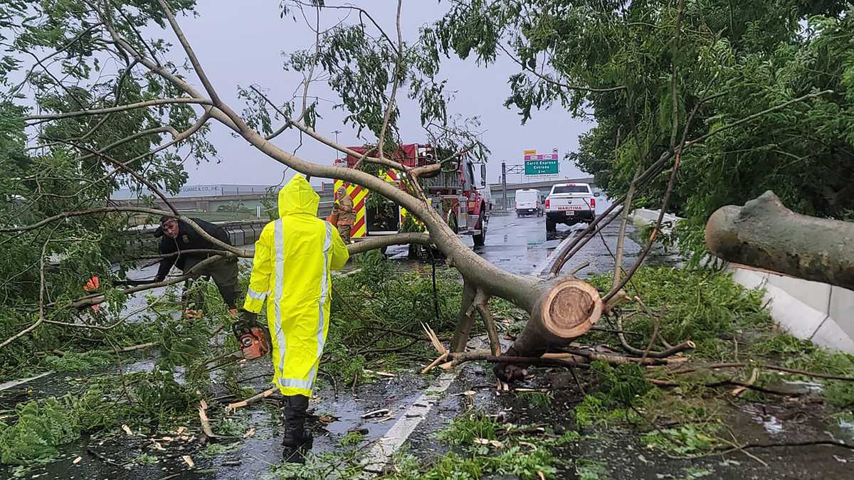 En esta foto proporcionada por el Departamento de Bomberos de Puerto Rico el 18 de septiembre de 2022, los bomberos trabajan para retirar un árbol caído de la carretera en Vega Baja, Puerto Rico.  - El huracán Fiona azotó la costa de Puerto Rico el domingo, cortó el suministro eléctrico y amenazó con causar "inundación catastrófica" en el territorio de la isla americana.  (Foto del Cuerpo de Bomberos de Puerto Rico/AFP) / USO RESTRINGIDO EDITORIAL - CRÉDITO OBLIGATORIO "AFP PHOTO / Oficina del Departamento de Bomberos de Puerto Rico" - SIN MARKETING - SIN CAMPAÑAS PUBLICITARIAS - DISTRIBUIDO COMO SERVICIO AL CLIENTE
