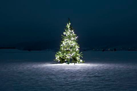 Foto de referencia de un árbol de Navidad