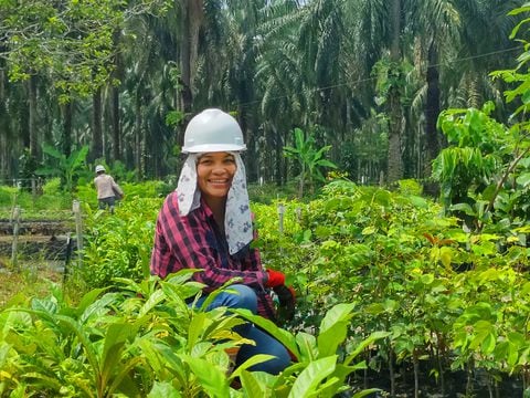 Se estima que el sector palmicultor cuenta con 7.552 productores.
