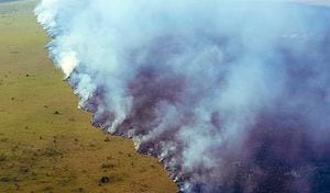 Miles de hectáreas han sido arrasadas por el fuego