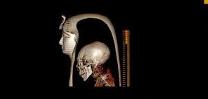 Una imagen distribuida publicada por el Ministerio de Antigüedades de Egipto el 28 de diciembre de 2021 muestra una reconstrucción en 3D de la cabeza de Amenhotep I, creada mediante tomografía computarizada (TC). - Egipto ha "desenvuelto digitalmente" la momia del famoso faraón Amenhotep I revelando sus secretos sin alterar su máscara funeraria por primera vez desde que fue descubierta en 1881. Gracias a las avanzadas imágenes digitales en 3D, los investigadores han descubierto nuevas técnicas de momificación utilizadas para la faraón cuyo gobierno se remonta a más de 1.500 a. C. (Foto del Ministerio de Antigüedades de Egipto / AFP)