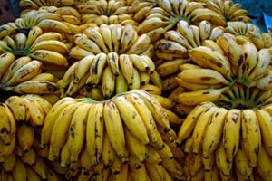 El banano se caracteriza por estar compuesto de potasio.