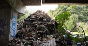 250 tonelada de basura y escombros fueron sacadas del humedal Tingua Azul en Bogotá.