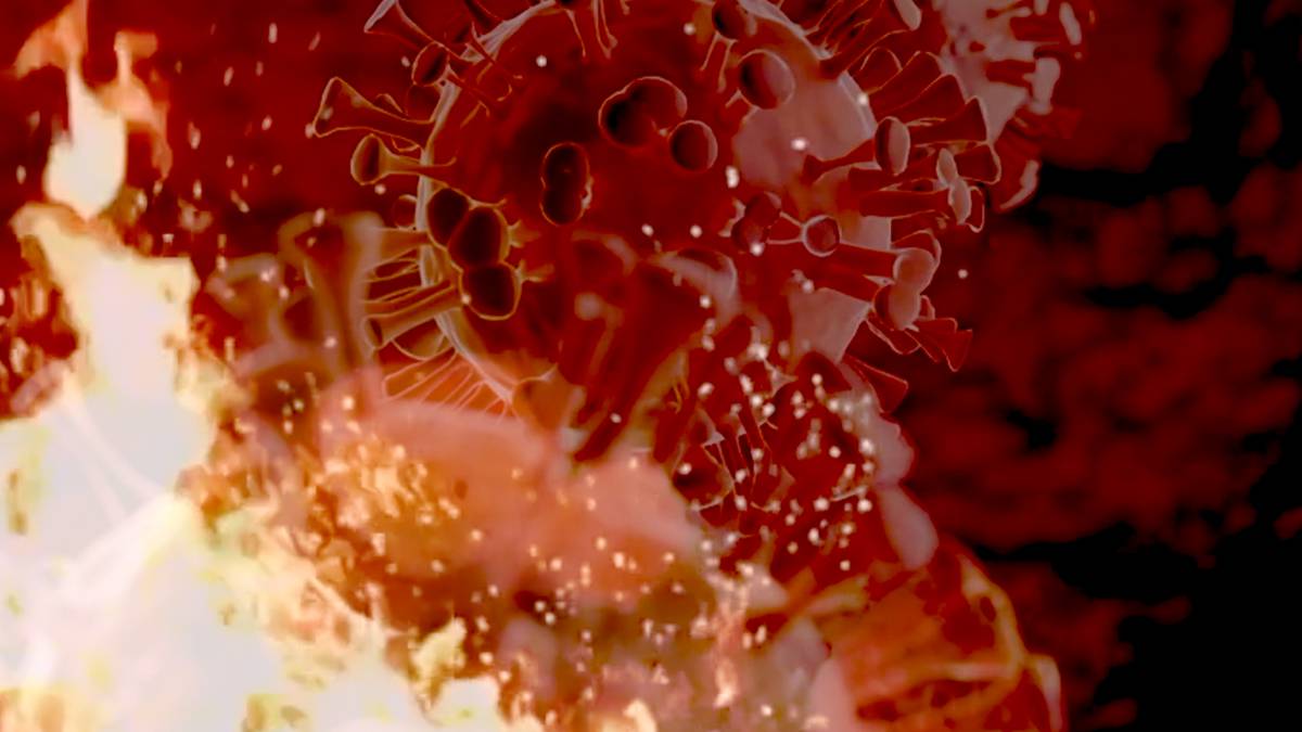 En qué países está presente la nueva cepa británica del coronavirus?