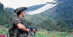 El gobierno colombiano ha utilizado la fumigación con glifosato principalmente para erradicar los cultivos de coca. Foto: archivo/Ministerio de Defensa. 