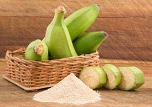 Green plantain flour - Musa paradisiaca