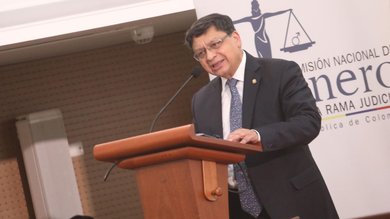 El vicepresidente de la Corte Constitucional, magistrado Jorge Enrique Ibáñez, se refirió a los obstáculos que enfrentan las mujeres en la Rama Judicial.