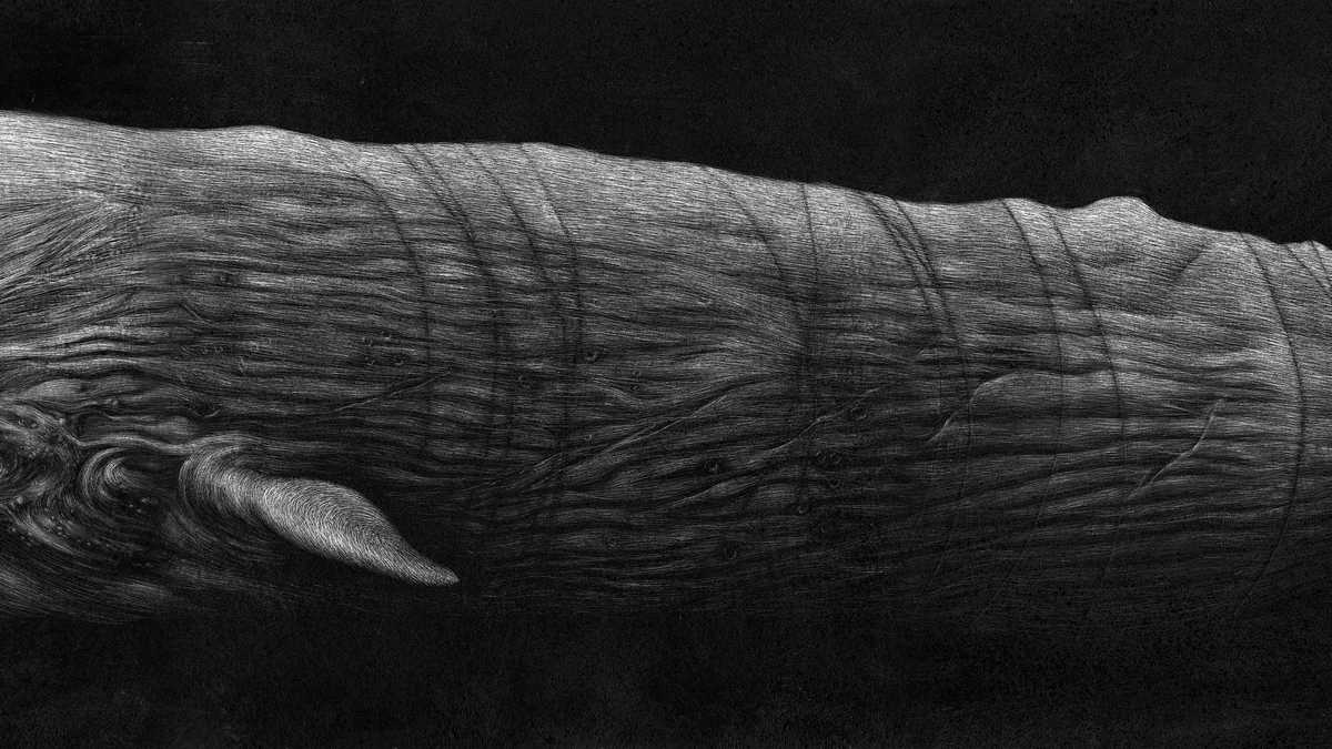 Rodríguez, A. Moby Dick (2020). Grabado sobre papel/Panamericana Editorial. Cortesía Editorial Panamericana