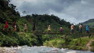 Según la Defensoría del Pueblo, estos desplazamientos afectaron principalmente a los departamentos de Chocó, Valle del Cauca, Antioquia, Cauca y Nariño..