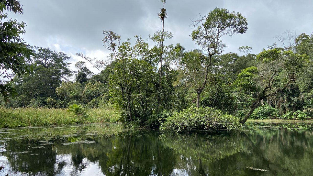 Laguna Verde en Zipacón, municipio de Cundinamarca ubicado en la cuenca media del río Bogotá.