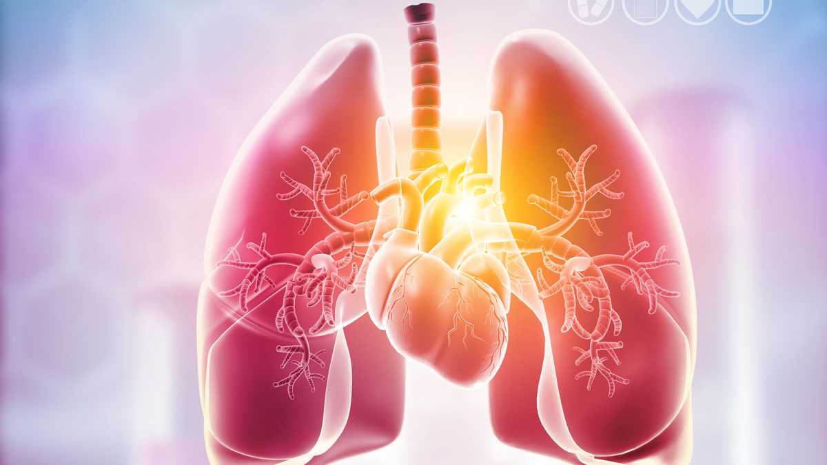 Cómo limpiar los pulmones con métodos naturales?
