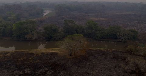 Incendios en Pantanal, en Brasil