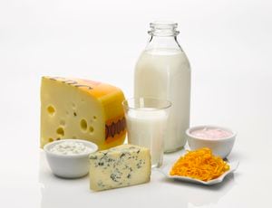 los quesos bajos en grasa son ricos en proteínas y calcio, un mineral importante para la fuerza y la contracción muscular. Se recomienda acompañar el desayuno y las meriendas con una porción de queso.