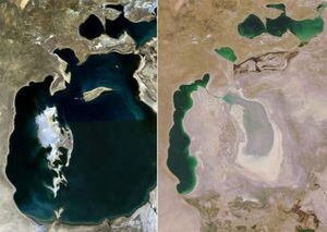 Vista de satélite del Mar de Aral, Uzbekistán-Kazajistán (1989 y 2008), uno de los ecosistemas clasificados por los científicos como "colapsado".