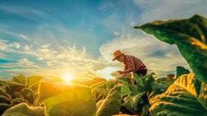 Como financiador de los sectores productivos, el papel de la banca es clave para detener el cambio climático.