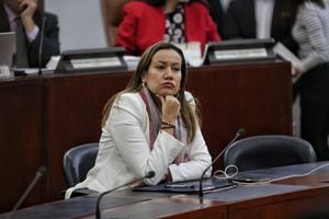 Ministra de Salud Carolina Corcho en debate de la reforma.