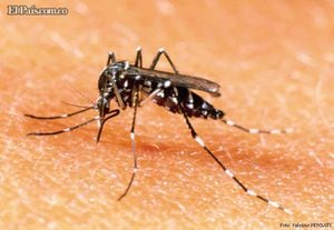 Tanto el dengue como la Leishmaniasis son trasmitidas a través de la picadura de un mosquito portador del virus.