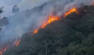Incendios forestales en los municipios de Hato y Gámbita, Santander.