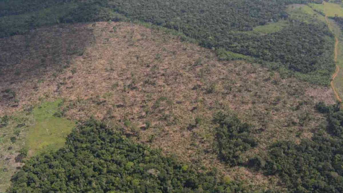El Meta es uno de los tres departamentos en donde más registra deforestación en Colombia. Foto: Rodrigo Botero. 