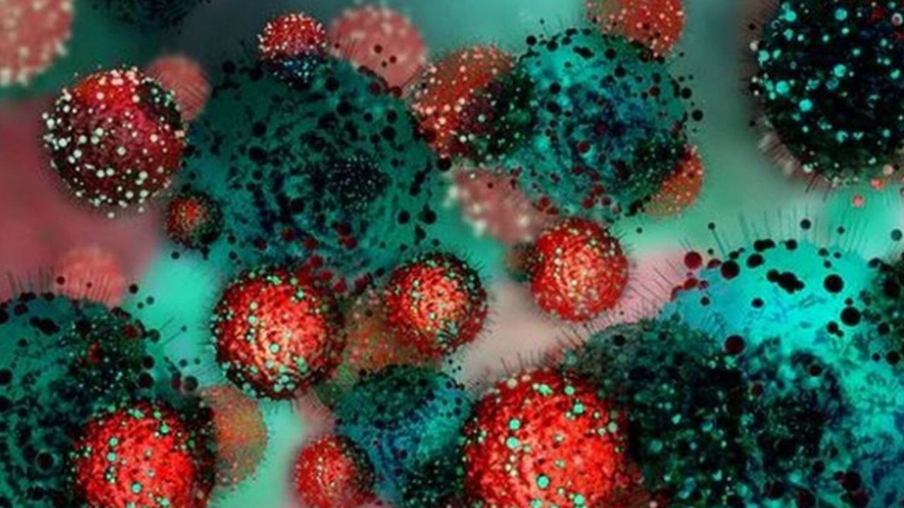 La mayoría de las mutaciones del coronavirus no tiene consecuencias sobre el curso de la pandemia. BBC - SHUTTERSTOCK