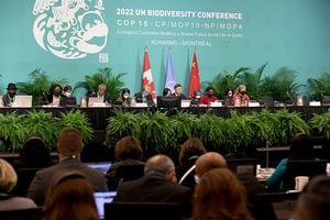 Acuerdo histórico sobre biodiversidad en COP15 de Montreal
