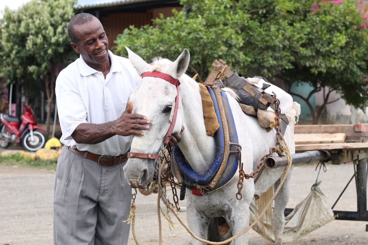 Durante más de 20 años Isidoro Perea Cuesta trabajó como cochero y palero con ayuda de su caballo ‘Blanco’.