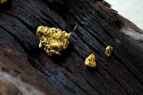 Esta bacteria expulsa oro al estar expuesta a metales pesados.
